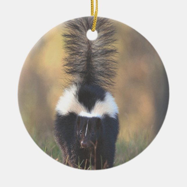 Skunk Ornament (Front)