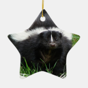 Skunk Photo Ornament