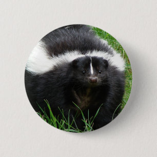 Skunk Photo Round Button