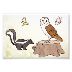 Skunk und Eule  Fotodruck Photo Print