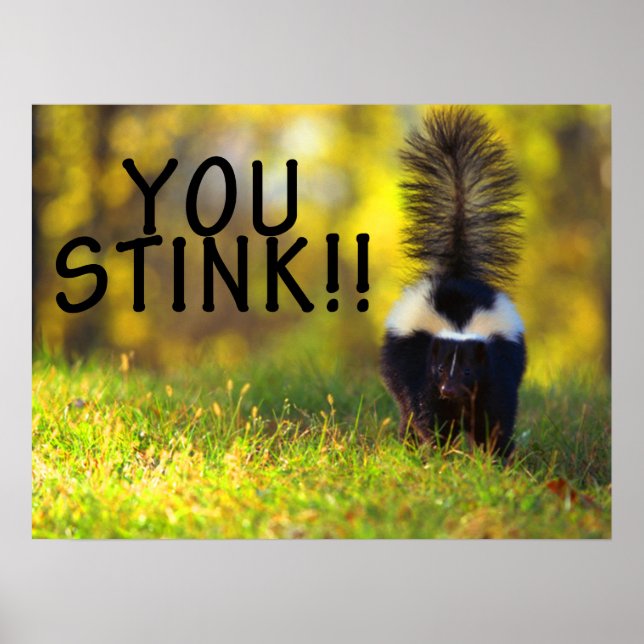 Skunk You Stink Poster (Front)