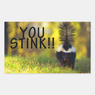 Skunk You Stink Rectangular Sticker
