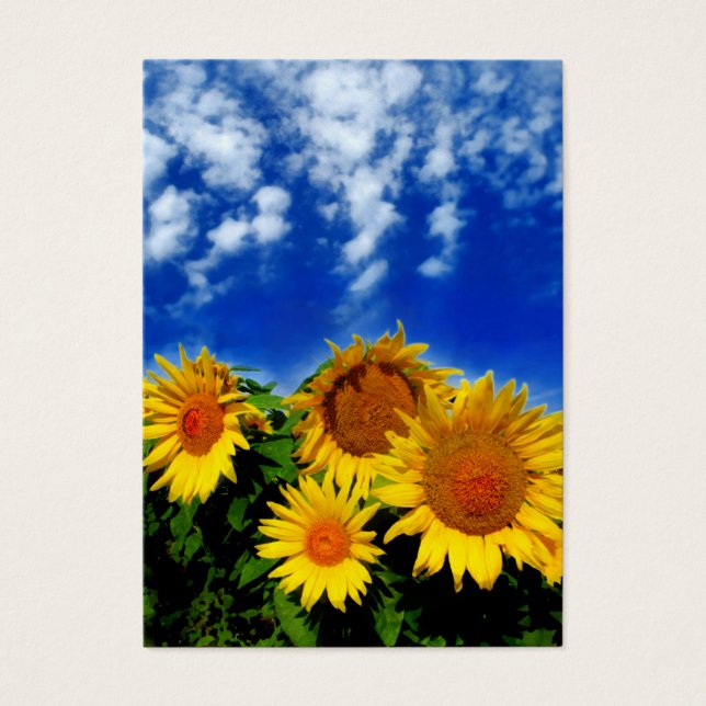 Sky and bloom, profile cards (Front)