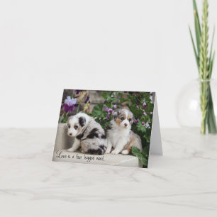 Sky Blue Aussies Notecard Puppies 1