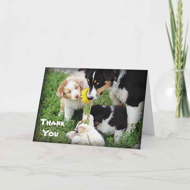 Sky Blue Aussies Thank You Card (Front)