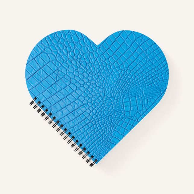 Sky blue leather  notebook (Front)