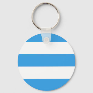 Sky Blue Striped Pattern Key Ring