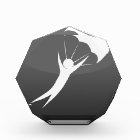 Sky Diver Icon