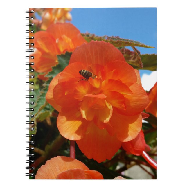 sky, flowers and bee notebook (Front)