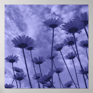 Sky Gazers Poster