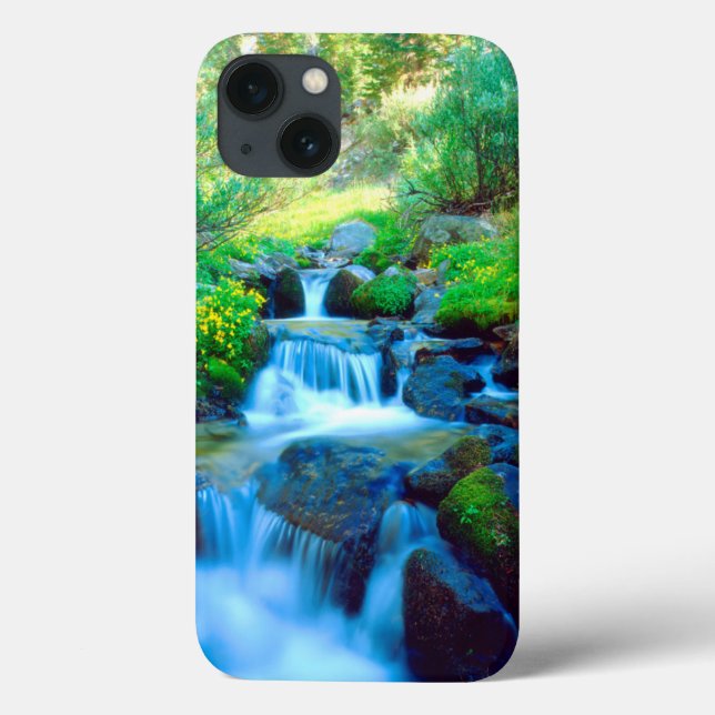 Sky Meadows in the Sierra Nevada Mountains Case-Mate iPhone Case (Back)