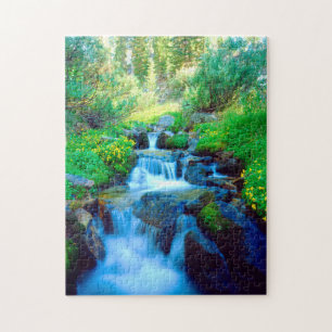 Sky Meadows in the Sierra Nevada Mountains Jigsaw Puzzle