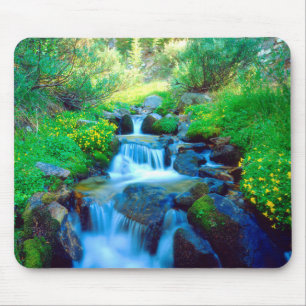 Sky Meadows in the Sierra Nevada Mountains Mouse Mat