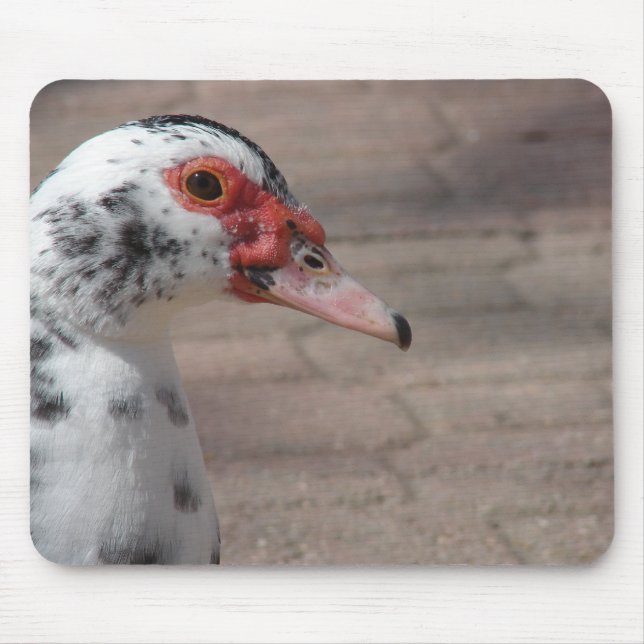 Sky Mouse Mat (Front)