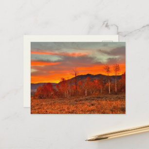 Sky on Fire Postcard