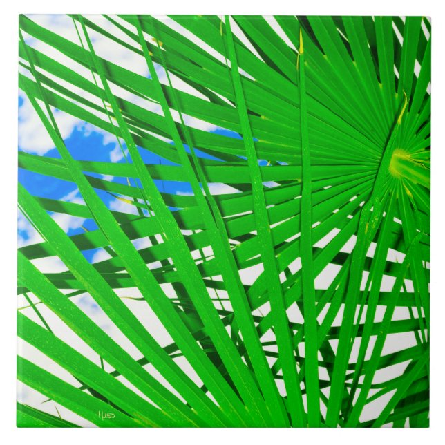 Sky Palm Ceramic Tile (Front)