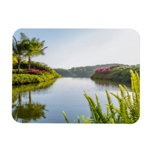 Sky Reflected In Still Tropical Lake Magnet
