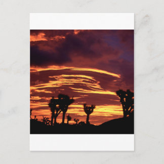 Sky Sunset Joshua Tree California Postcard