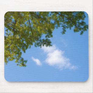 sky view with tree top mouse mat