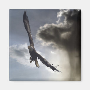 "Sky Warrior" Bald Eagle Gifts Magnet