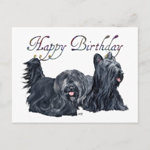 Skye Terrier Birthday Cards
