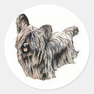Skye Terrier Classic Round Sticker