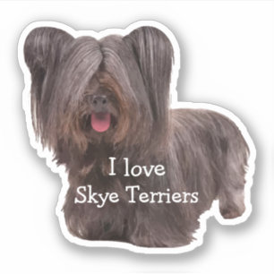 Skye Terrier Dog Breed Cutout