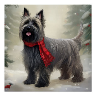 Skye Terrier Dog in Snow Christmas  Poster
