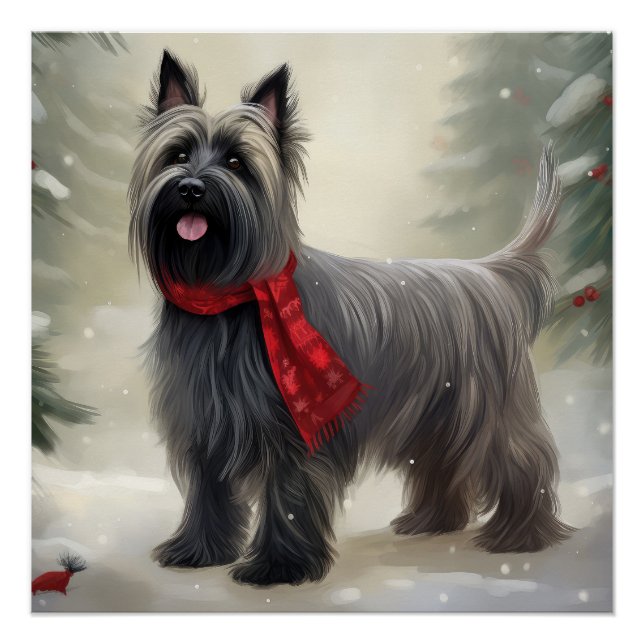 Skye Terrier Dog in Snow Christmas  Poster (Front)