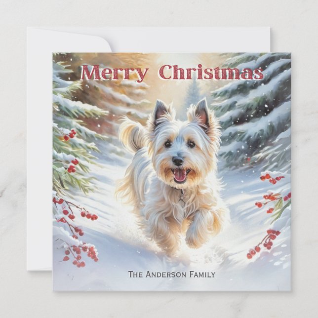 Skye Terrier Dog In Snow Merry Christmas Holiday Card (Front)