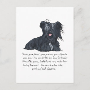 Skye Terrier FEMALE Keepsake Postcard