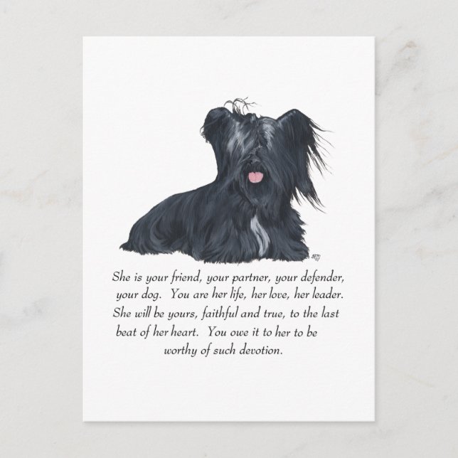 Skye Terrier FEMALE Keepsake Postcard (Front)