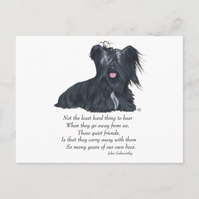 Skye Terrier Memory Postcard (Front)