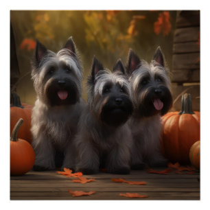 Skye Terrier Puppy Autumn Delight Pumpkin  Poster