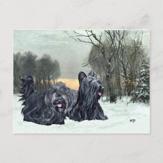 Skye Terriers Snowy Sunset Postcard (Front)