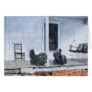 Skye Terriers wait on the Porch