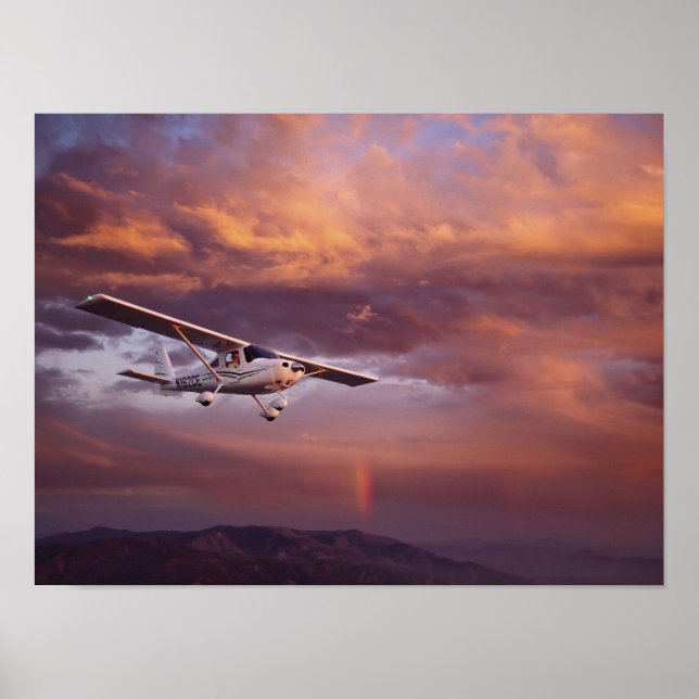 Skyfire Skycatcher Poster (Front)