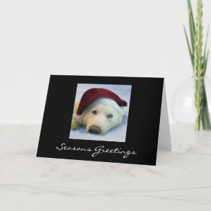 Skyla - Seasons Greetings Holiday Card