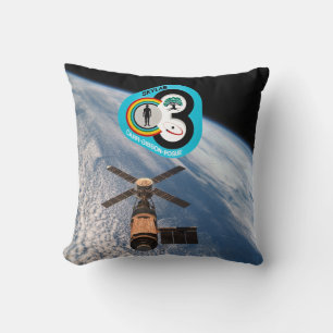 Skylab 3 cushion