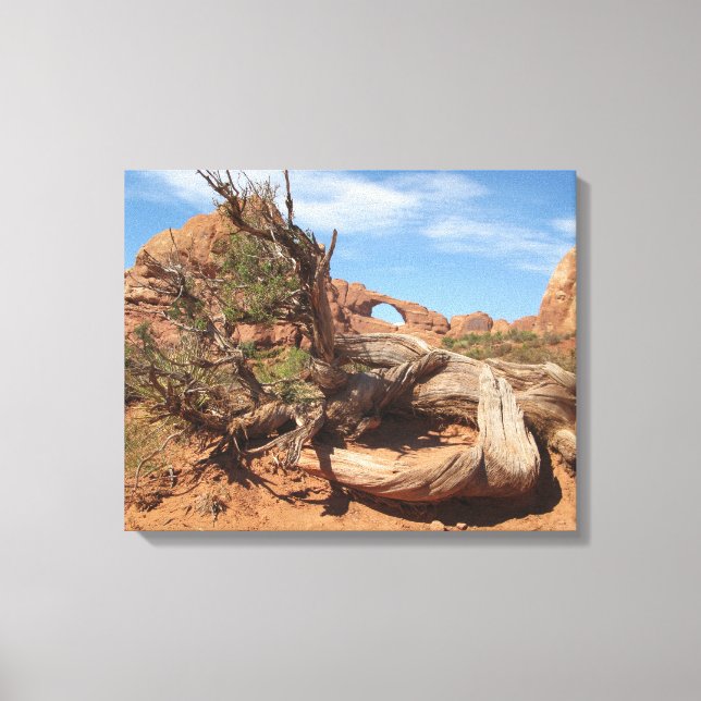 Skyline Arch, Utah Canvas Print (Front)
