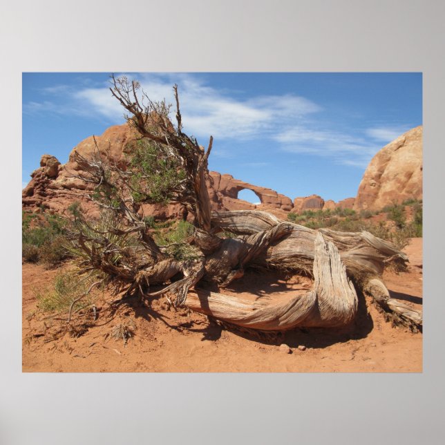 Skyline Arch, Utah Poster (Front)