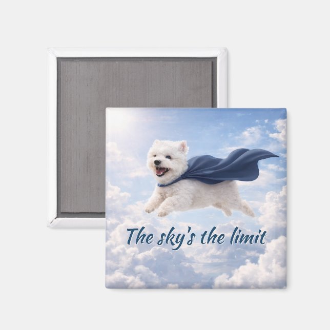 Sky's the Limit Magnet (Front/Back)