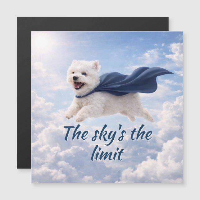 Sky's the Limit Magnetic Card (Front/Back)
