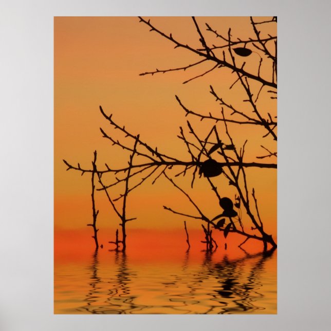 Skyscape Photoart Print (Front)