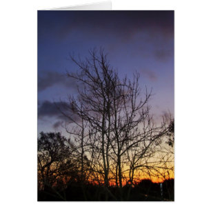 Skyscapes #001 Card