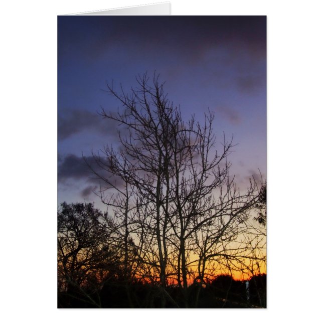 Skyscapes #001 Card (Front)