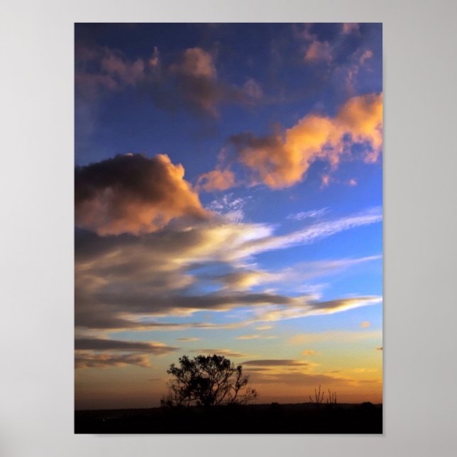 Skyscapes : Ferntree Gully - POSTER (Front)