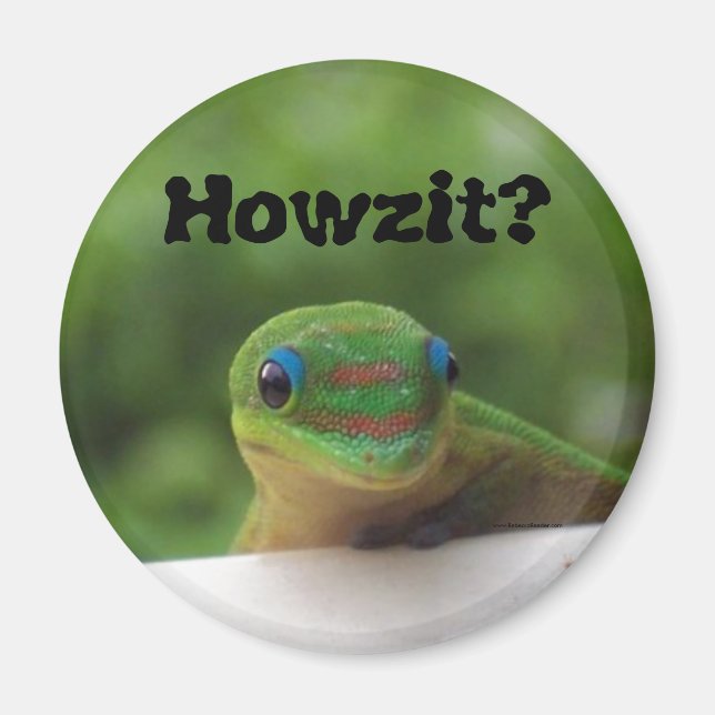 Slang Expressions Howzit Magnet (Front)