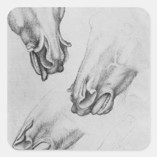 Slashed nostrils of horses square sticker