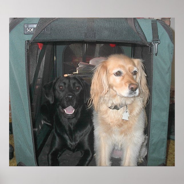 Slate and Sasha Poster (Front)